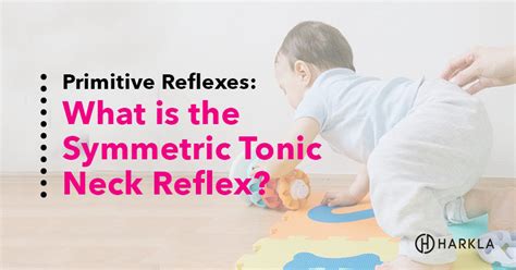 What is the Symmetric Tonic Neck Reflex (STNR)?