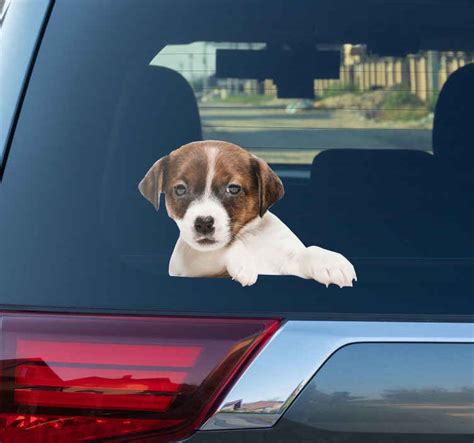 Dog peeking car window sticker - TenStickers