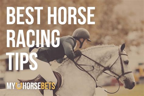 Best Horse Racing Tips 2021 - Reviews & Guide - MyHorseBets