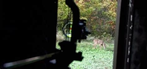 Advantages of Bowhunting Blinds - Banks Outdoors