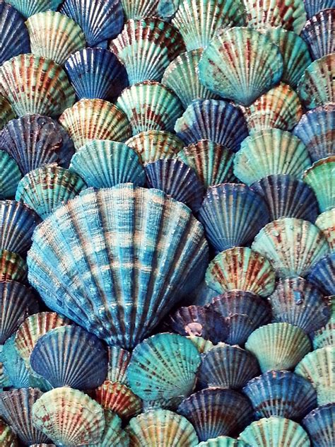 Blue Shells | Coastal Living | Pinterest | Shell, Beach and Ocean