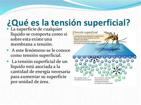 Agua Elevada Tension Superficial - Dinami