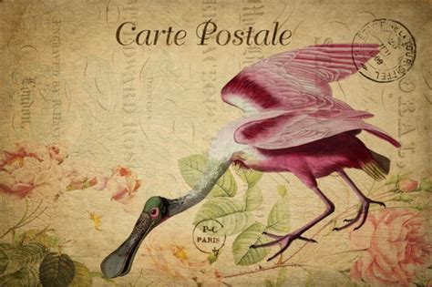Bird Floral French Postcard Free Stock Photo - Public Domain Pictures