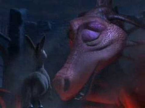 Donkey And Dragon