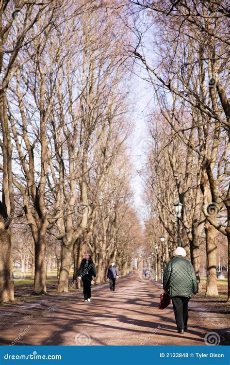 Old Woman on Walk in Park stock photo. Image of nature - 2133848