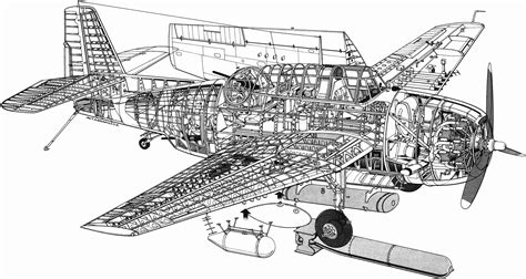 Grumman TBF Avenger Cutaway Drawing in High quality