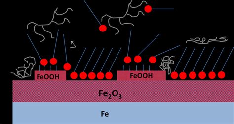 PROPOSITION OF SCHEMATIC ADSORBED LAYER OF STEARIC ACID IN PRESENCE OF... | Download Scientific ...