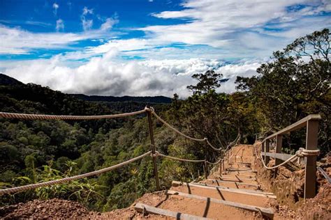 Guide To Climbing Mount Kinabalu: Tips For 2023 - LivingOutLau