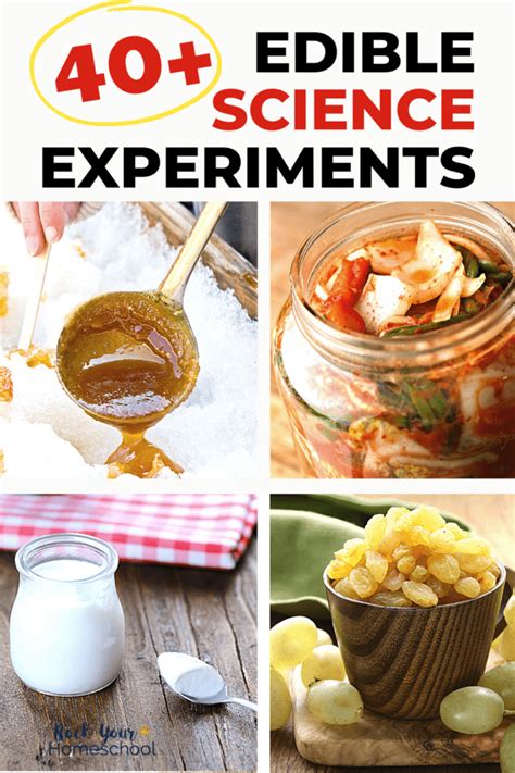 Edible Science Experiments for Kids: 40+ Ways to Make It Fun