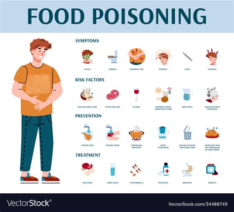 Food poisoning symptoms prevention and treatment Vector Image