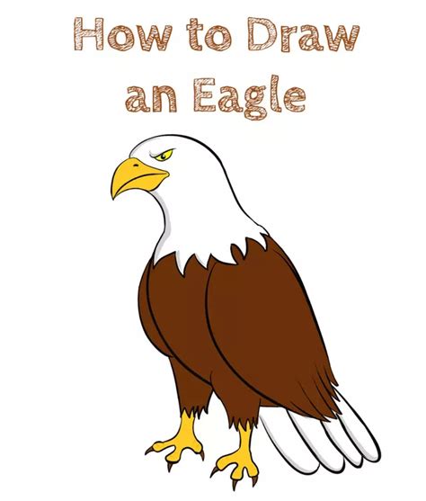 How to draw an eagle easy – Artofit