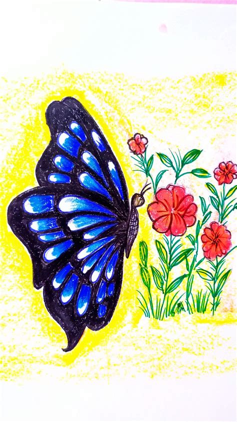 Butterfly Drawing Images Easy With Colour Momjunction - vrogue.co