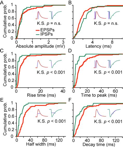 Kinetic of synaptic transmission, Epsp (red, thick) vs Ipsp (green ...