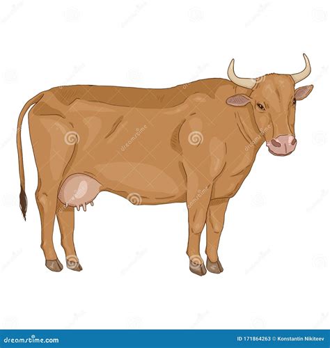 Cartoon Brown Cow. Vector Comics Style Illustration Stock Vector - Illustration of background ...