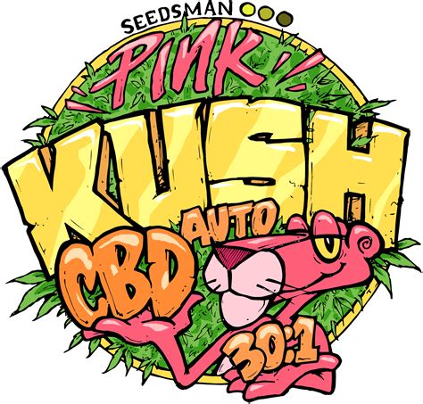 Pink Kush CBD 30:1 Auto Feminised Seeds | Seedsman | Cannabis Seeds