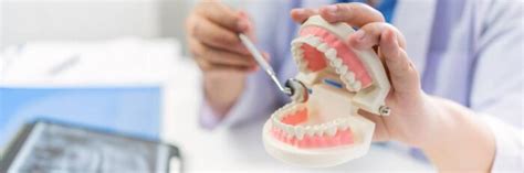 Cost Of Dental Bone Graft: Types And Pricing Explained- Gov-Relations