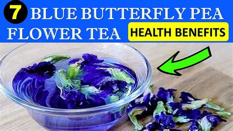 7 INCREDIBLE Health Benefits of the Blue Butterfly Pea Flower Tea - The Freedom Network