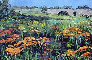 Anne Parks - Butterfly Weed at Stone Bridge. (Prophetstown St Park)- Oil - Painting entry ...