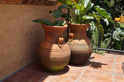 Mud Pots Plants - Free photo on Pixabay