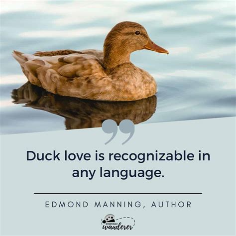 100+ Duck Quotes That Will Quack You Up