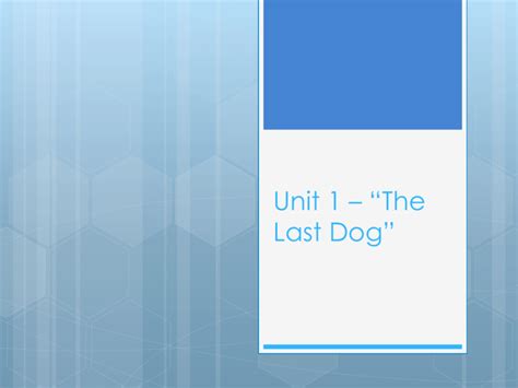 The Last Dog