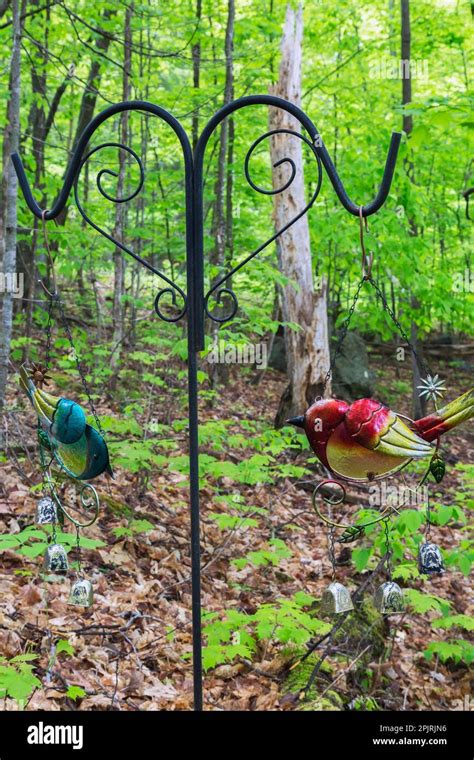 Colourful painted metal bird wind chimes hung on black wrought iron stand in forest of deciduous ...
