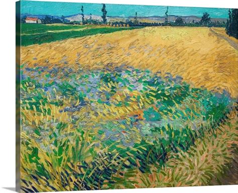 Wheatfield By Vincent Van Gogh Wall Art, Canvas Prints, Framed Prints ...