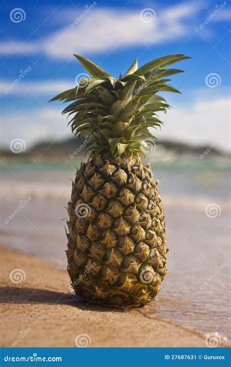 Tropical Pineapple in the Sea on an Exotic Beach. Stock Image - Image of food, juicy: 27687631