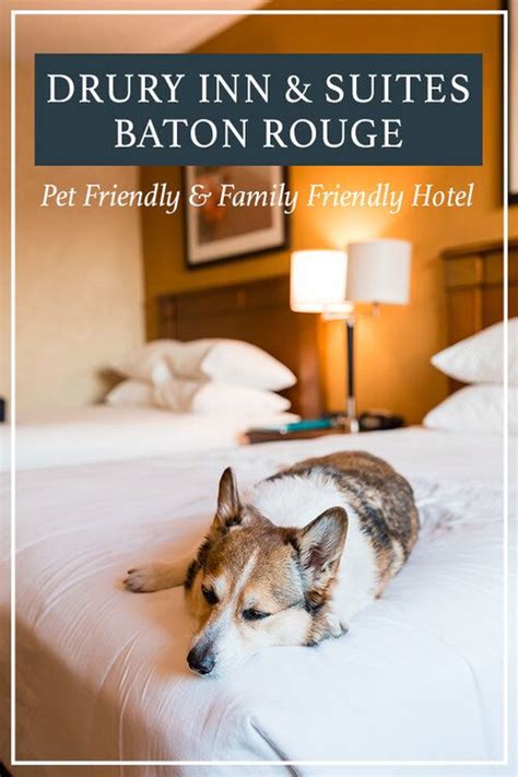 Drury Inn and Suites Baton Rouge: Pet-Friendly Hotel Review - Travel ...