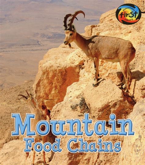 Mountain Food Chains