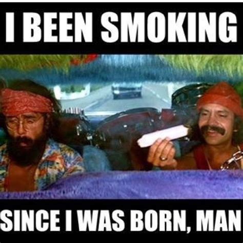 Cheech And Chong Quotes - ShortQuotes.cc