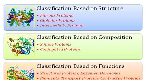 Protein Classification | Easy Biology Class