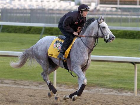 Horse stud fees; Frankel Galileo Tapit Dubawi Millennium Deep Impact ...