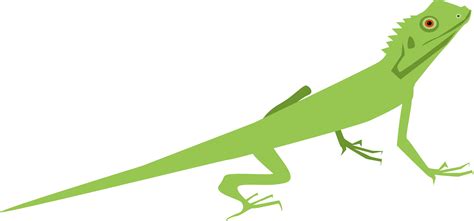 Lizard clipart simple, Lizard simple Transparent FREE for download on WebStockReview 2024