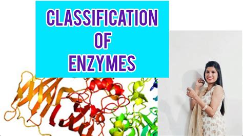 Classification of Enzymes - YouTube