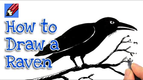 How to draw a Raven Real Easy - YouTube