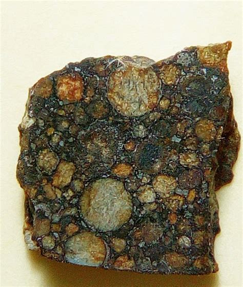 A slice of meteorite NWA 5507, displaying chondrule detail. Found ...