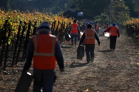 Undocumented Farmworkers Toil in California Fire Evacuation Zones
