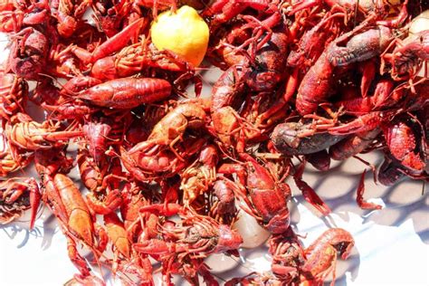 Authentic Louisiana Crawfish Boil - Blackberry Babe