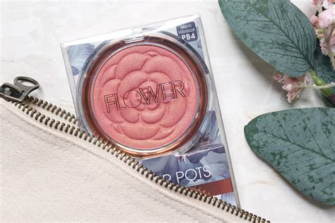 Flower Beauty Flower Pot Blush in Warm Hibiscus Review & Swatches — Hannah Heartss