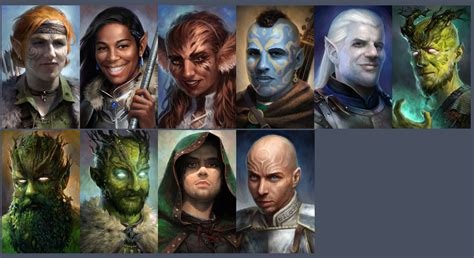 Pillars of eternity portraits pack - sgroupzoom