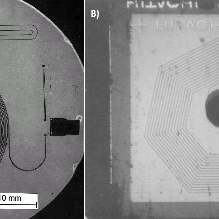 3: Work flow of the Qubit dsDNA HS assay kit. Picture taken from ...