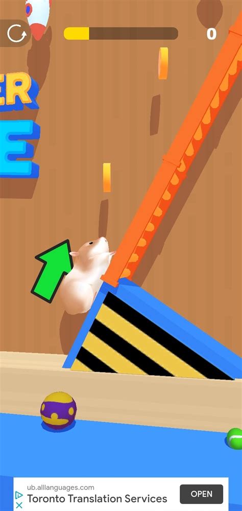 Hamster maze game - pdjulu