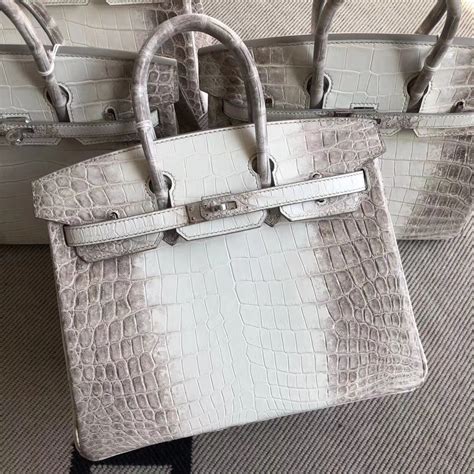 Stock Hermes Himalaya Crocodile Birkin Bag25CM Silver Hardware - H ...