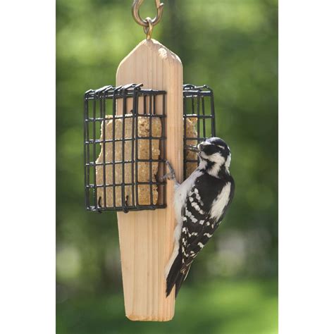 Shop Birds Choice Cedar Two-Cake Cedar Suet Feeder at Lowes.com