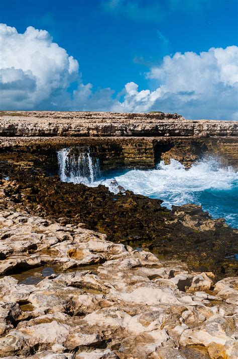 View of Devil's Bridge Antigua Photograph by Sharon Eisenzopf