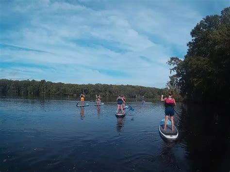 Can You See Manatees At Manatee Springs State Park? - Indie88