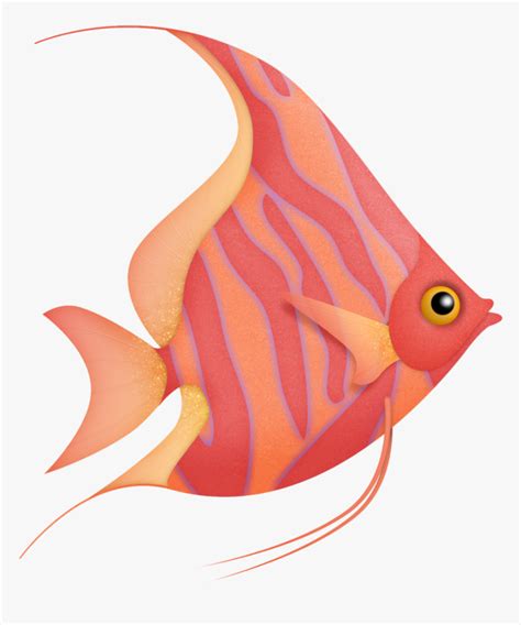 Colorful Tropical Fish Fish Clipart, HD Png Download , Transparent Png Image - PNGitem