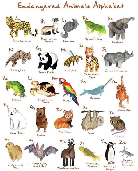 Endangered Animals Print | Endangered animals, Animal illustration ...