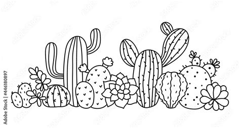 Cactus and succulent floral border clipart, Cactus composition isolated items on white ...